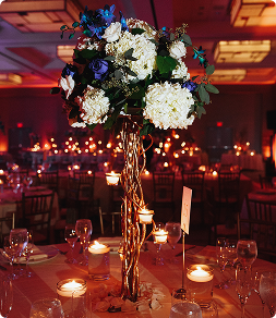 Weddings entertainment by Ignite